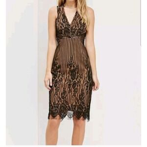 Ministry‎ Of Style Dress Womens Size 6 Black Nude Sheer Lace Striped
